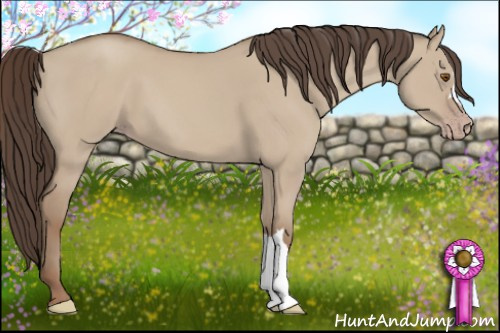Horse Color: Classic Champagne Dun 