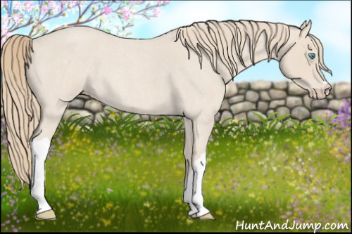 Horse Color: Smoky Creme Roan 