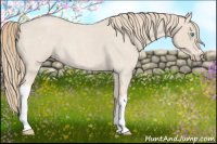 Horse Color:Smoky Creme Roan