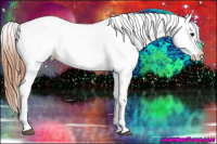 Horse Color:Bay Roan Appaloosa 
