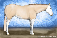 Horse Color:Smoky Black Pearl Splash Rabicano 