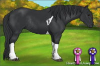 Horse Color:Black Tobiano Rabicano 