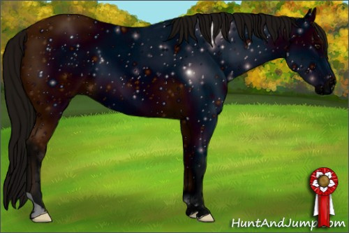 Horse Color: ERROR: UNKNOWN ANOMALY