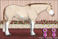 Horse Color:Red Dun Roan Splash Frame Rabicano 