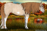 Horse Color:Red Dun Roan Splash Frame Rabicano 