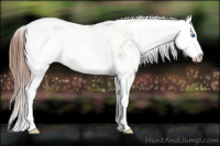 Horse Color:Liver Red Dun Sabino Splash 