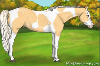 Horse Color:Palomino Splash Tobiano 