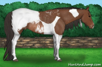 Horse Color:Bay Tobiano Snowcap Rabicano 