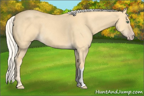 Horse Color: Silver Classic Cream Champagne Dun 
