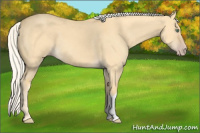 Horse Color:Silver Classic Cream Champagne Dun