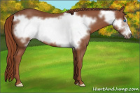 Horse Color:Liver Chestnut Frame 
