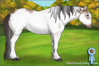 Horse Color:White Spotted Bay Frame 