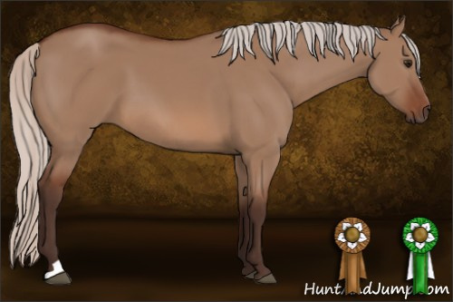 Horse Color: Silver Bay Dun 