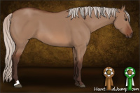 Horse Color:Silver Bay Dun 