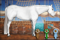 Horse Color:White Spotted Brown Appaloosa