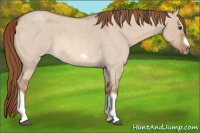 Horse Color:Red Dun Roan Splash Frame Rabicano