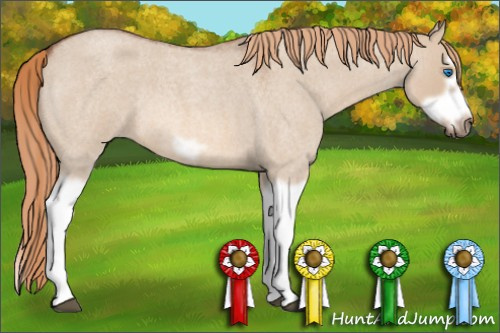 Horse Color: Red Dun Roan Splash Frame Rabicano 