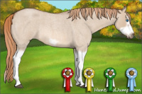 Horse Color:Red Dun Roan Splash Frame Rabicano 