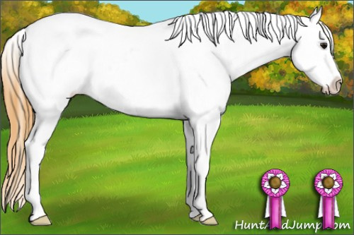 Horse Color: Buckskin Blanket 