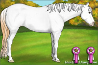 Horse Color:Buckskin Blanket 