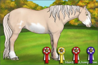 Horse Color:Silver Amber Champagne Dun Frame 