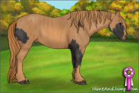 Horse Color:Smoky Black  Brindle