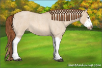 Horse Color:Red Dun Roan Splash Frame Rabicano 