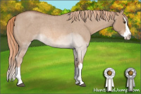 Horse Color:Red Dun Roan Splash Rabicano