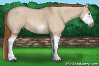 Horse Color:Liver Red Dun Roan Splash Frame Rabicano