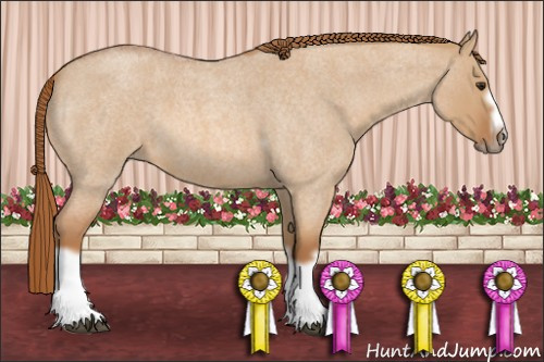 Horse Color: Red Dun Roan Splash Frame Rabicano 
