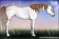 Horse Color:Red Dun Roan Splash Frame Rabicano 