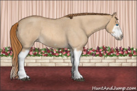 Horse Color:Red Dun Roan Splash Frame Rabicano