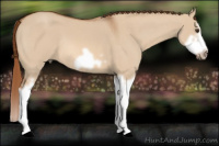 Horse Color:Red Dun Roan Splash Frame Rabicano