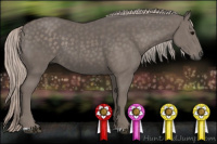 Horse Color:Silver Black 