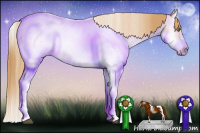 Horse Color:Red Dun Roan Pearl Splash Frame Rabicano 