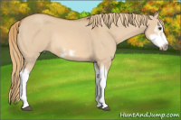 Horse Color:Red Dun Roan Splash Frame Rabicano 