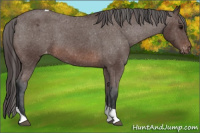 Horse Color:Bay Tobiano Varnish 