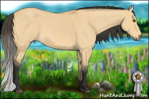 Horse Color: Buckskin Dun 