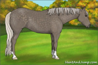 Horse Color:Silver Smoky Black 