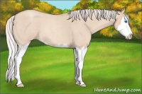 Horse Color:Silver Sable Champagne Roan Dun Splash 