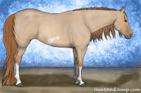 Horse Color:Red Dun Roan Splash Frame Rabicano 