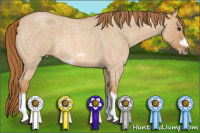 Horse Color:Red Dun Roan Splash Frame Rabicano 