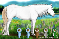 Horse Color:Buckskin Frame Blanket Rabicano 