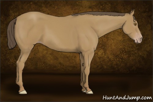 Horse Color: Sable Cream Champagne 