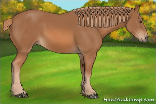 Horse Color: Chestnut 