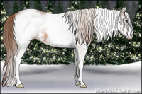Horse Color:White Spotted Chestnut Ice 