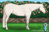 Horse Color:Perlino Dun