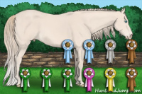 Horse Color:Perlino 