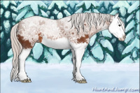 Horse Color:Silver Bay Ice Splash 