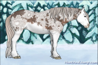 Horse Color:Silver Black Ice Splash 